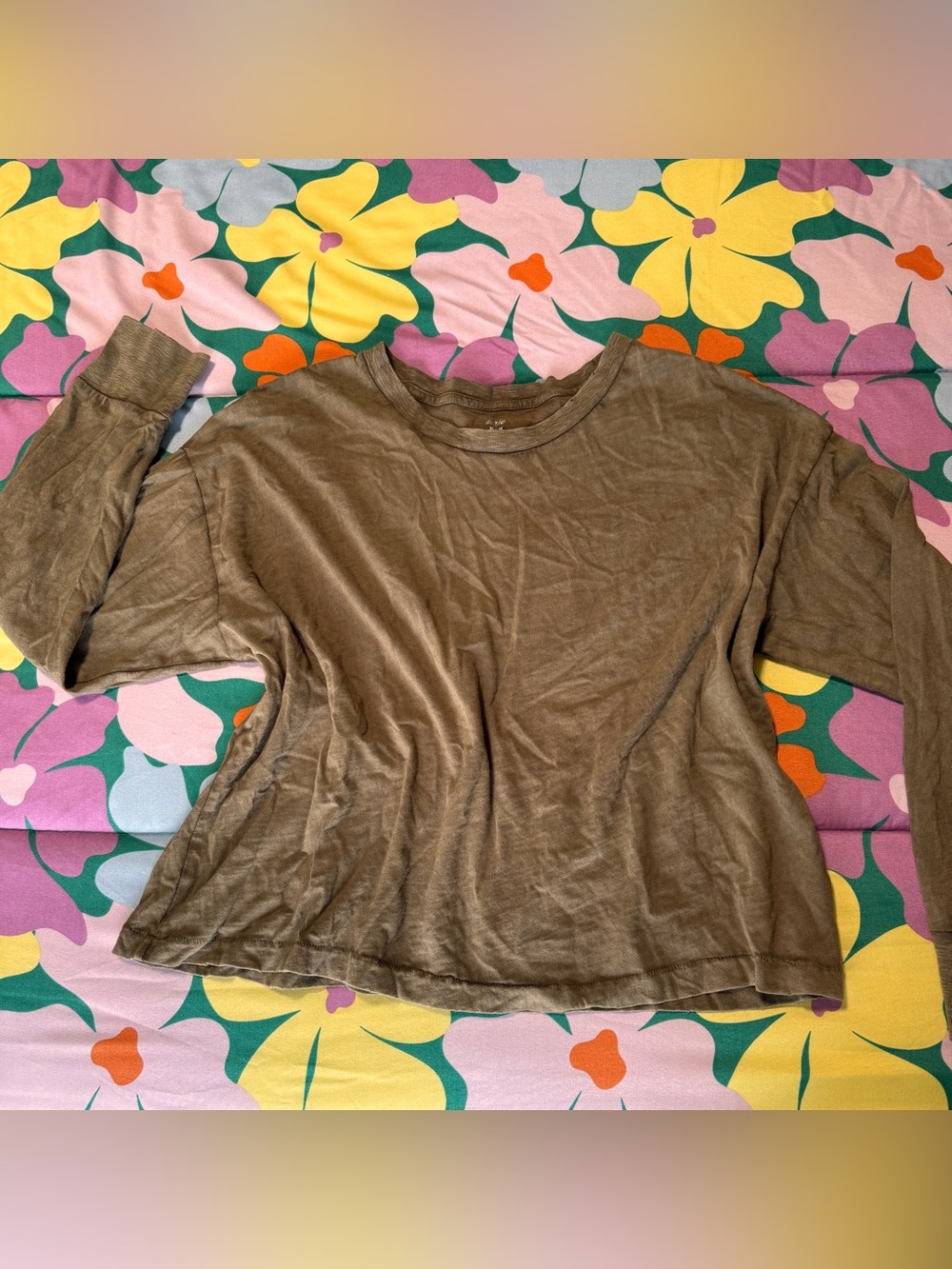 aerie Olive Brown Long Sleeve Crewneck Tee